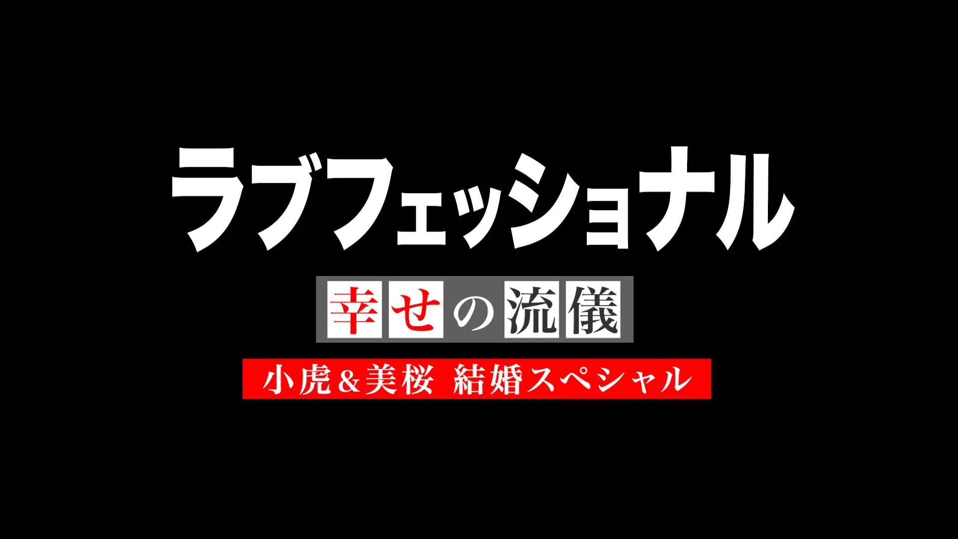 プロフィールムービー ラブフェッショナル 幸せの流儀